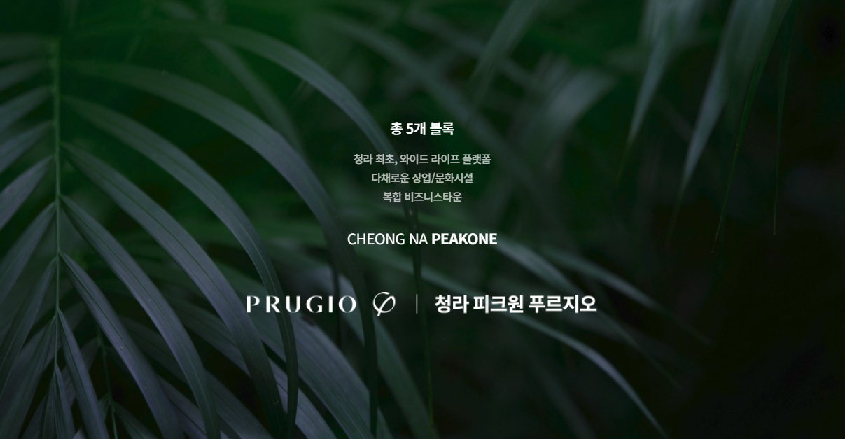 메인.PNG